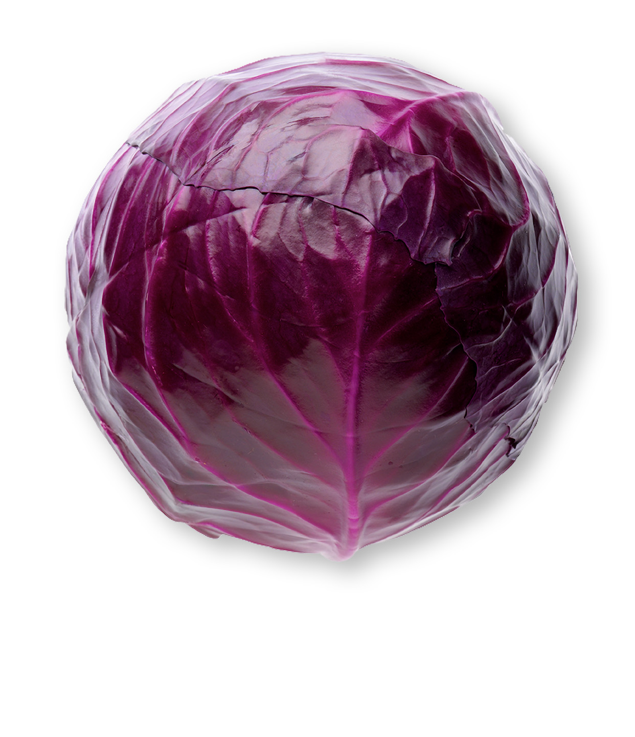 Head of Red Cabbage picture