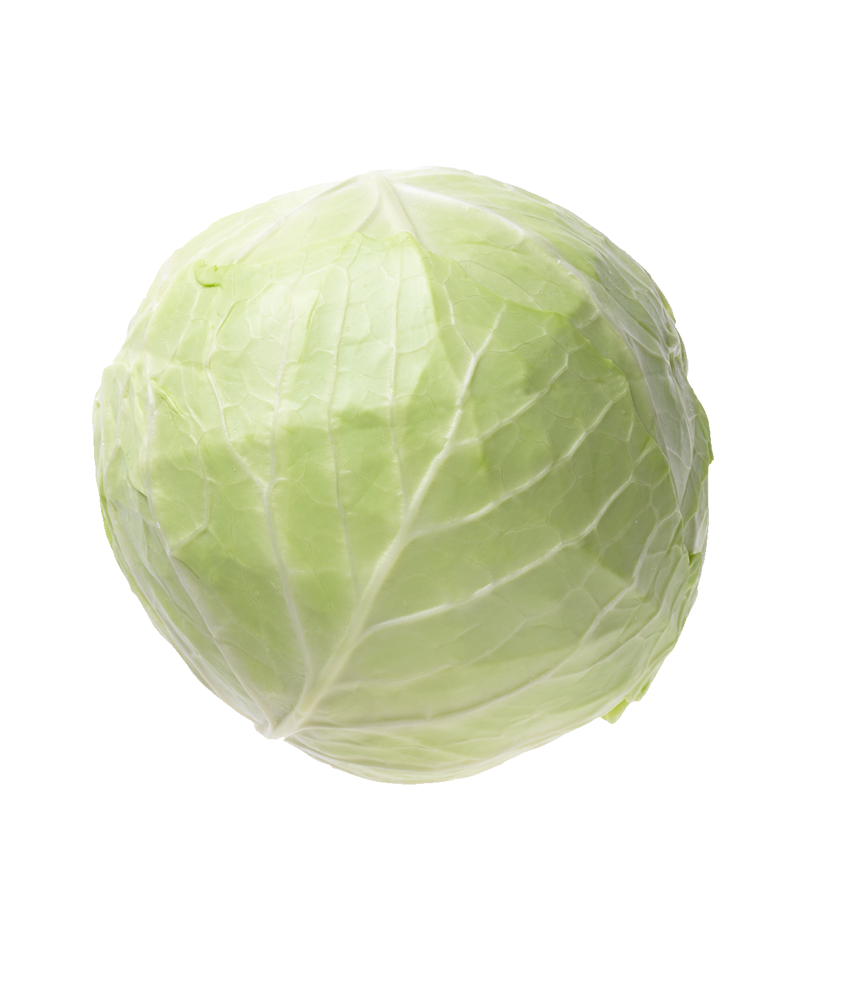 photo of green cabbage