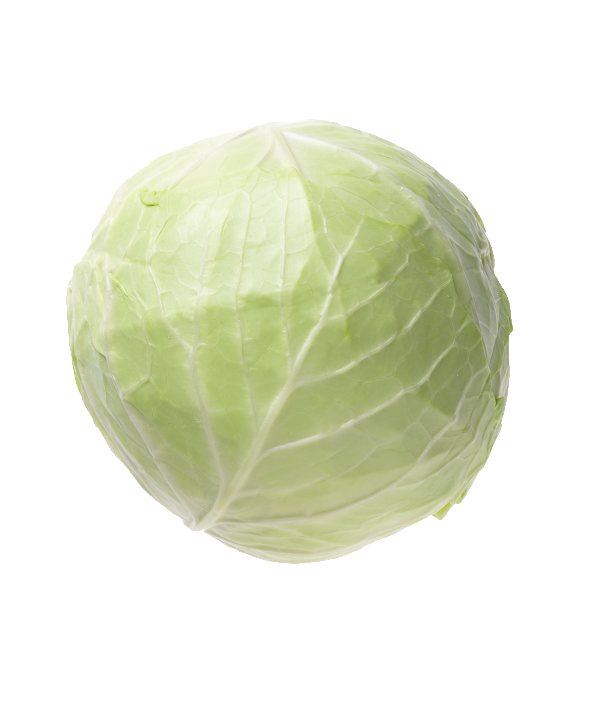 Cabbage on sale