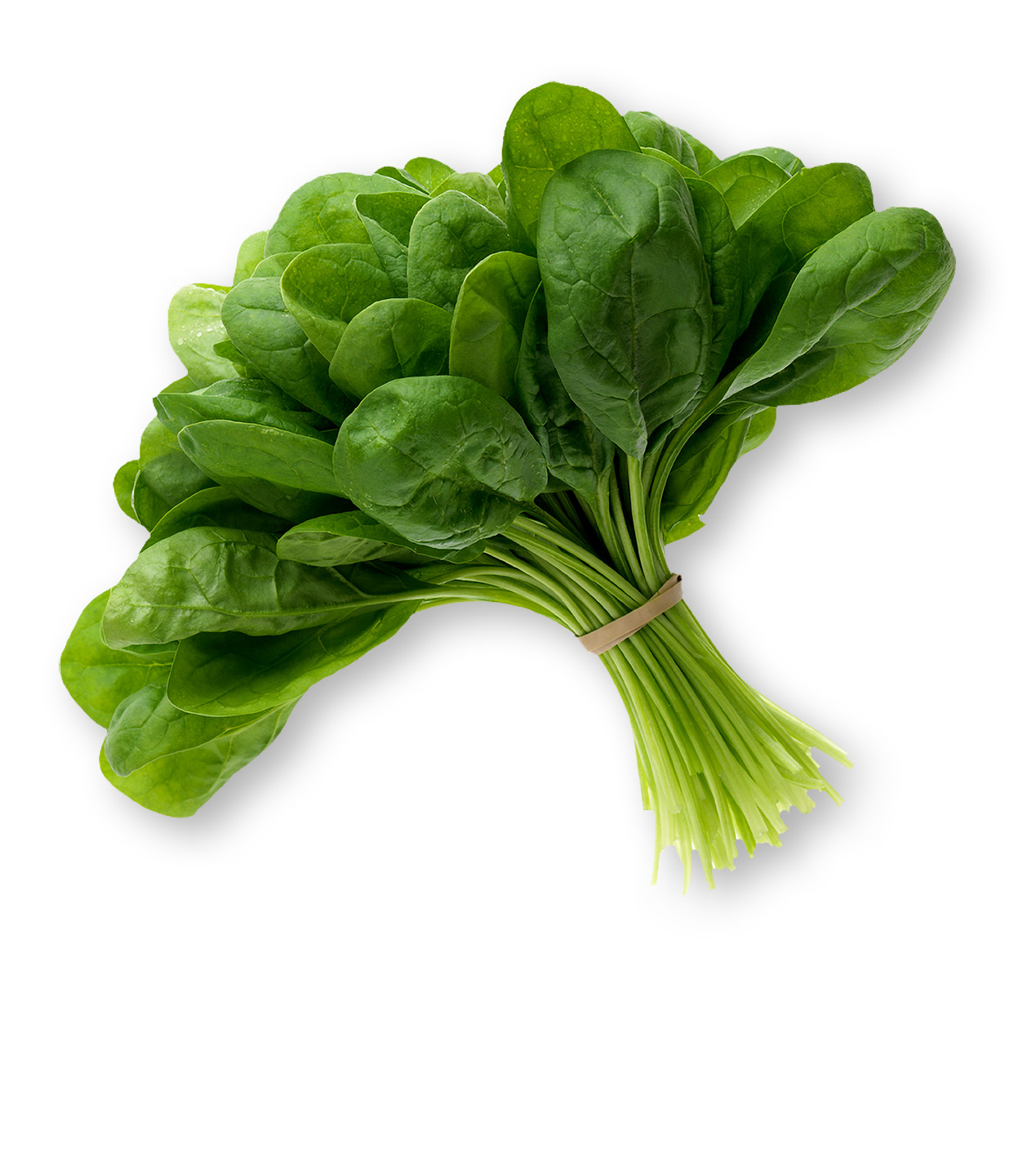 Spinach picture