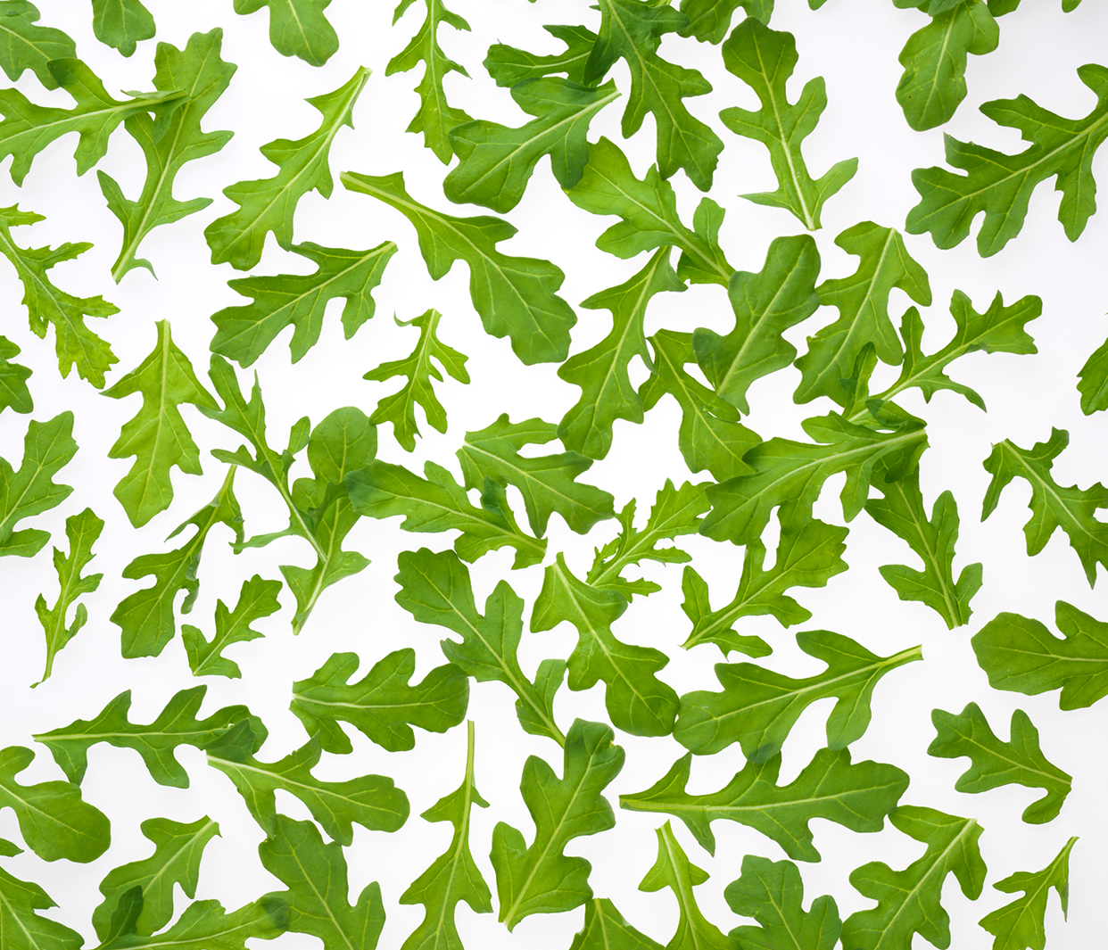 Arugula Leaves Picture