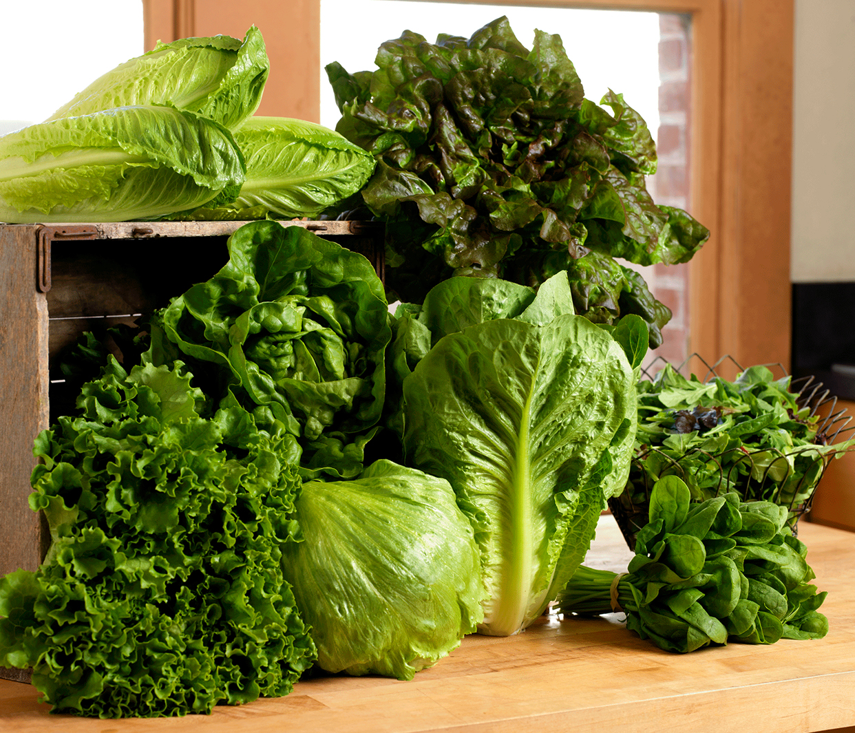 Green Leaf Lettuce Nutrition Facts Information LettuceInfo