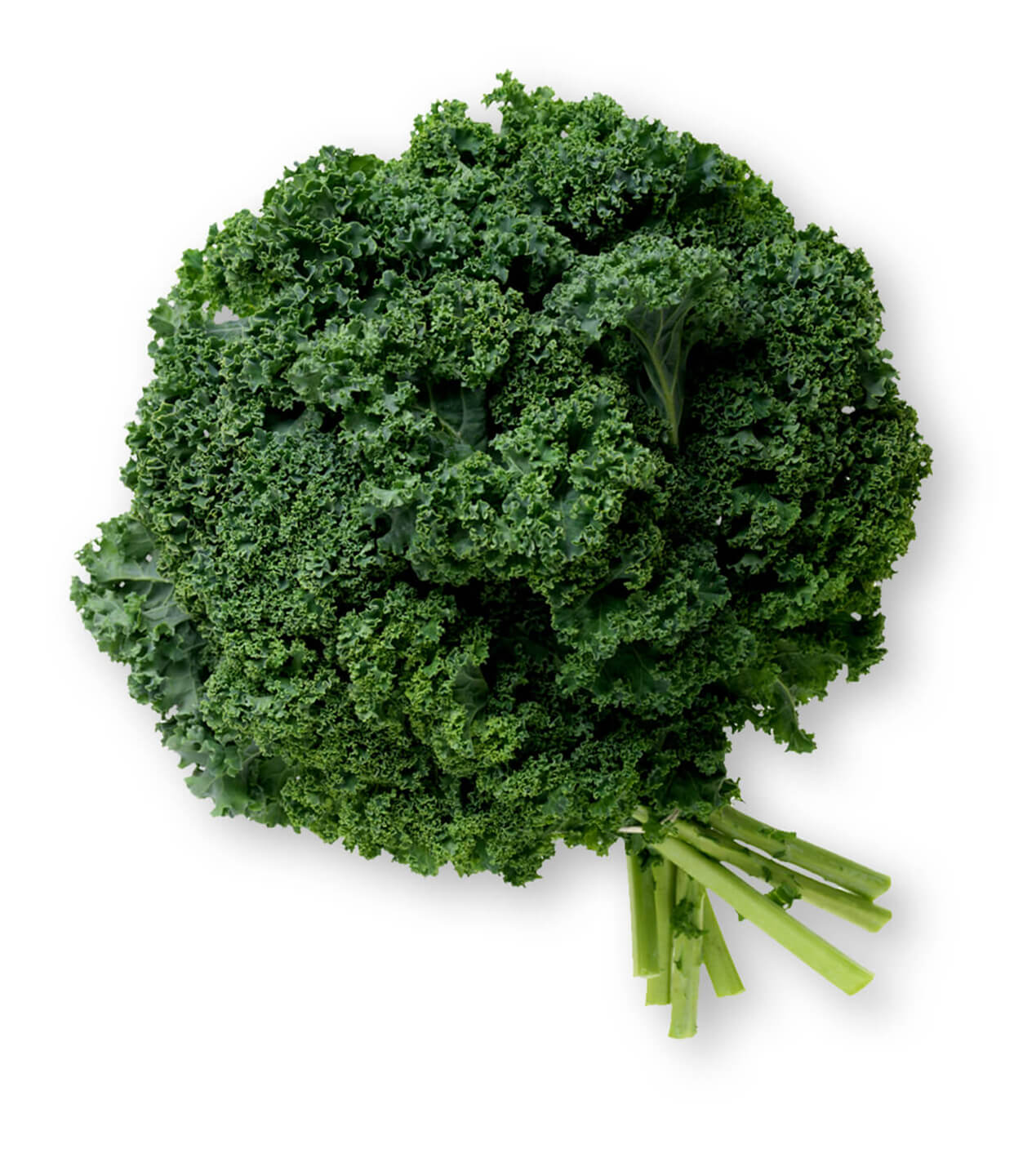 Kale Nutrition Facts, Nutrition Label