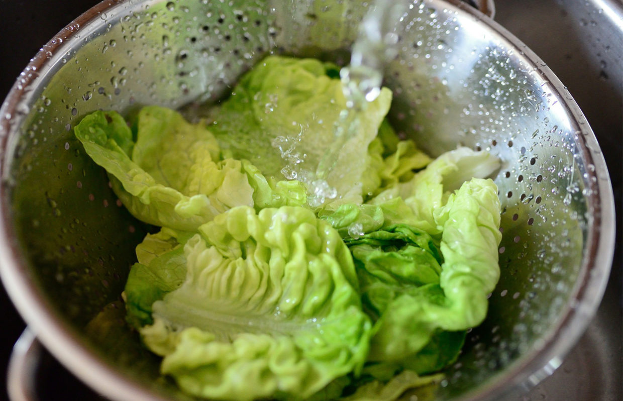 Lettuce Nutrition Facts Health Benefits of Lettuce Nutrients, Calories