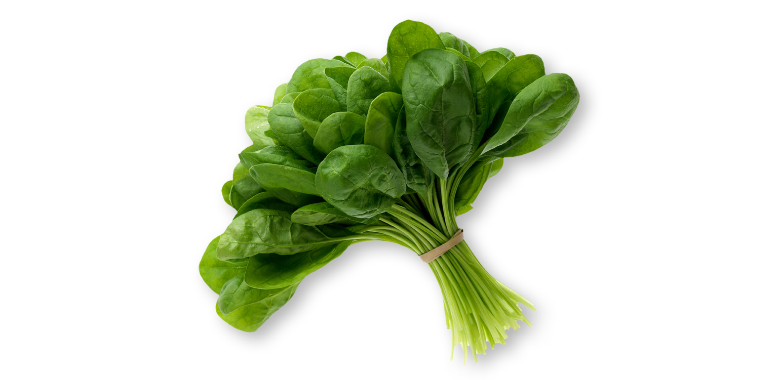 spinach-faq-lettuceinfo