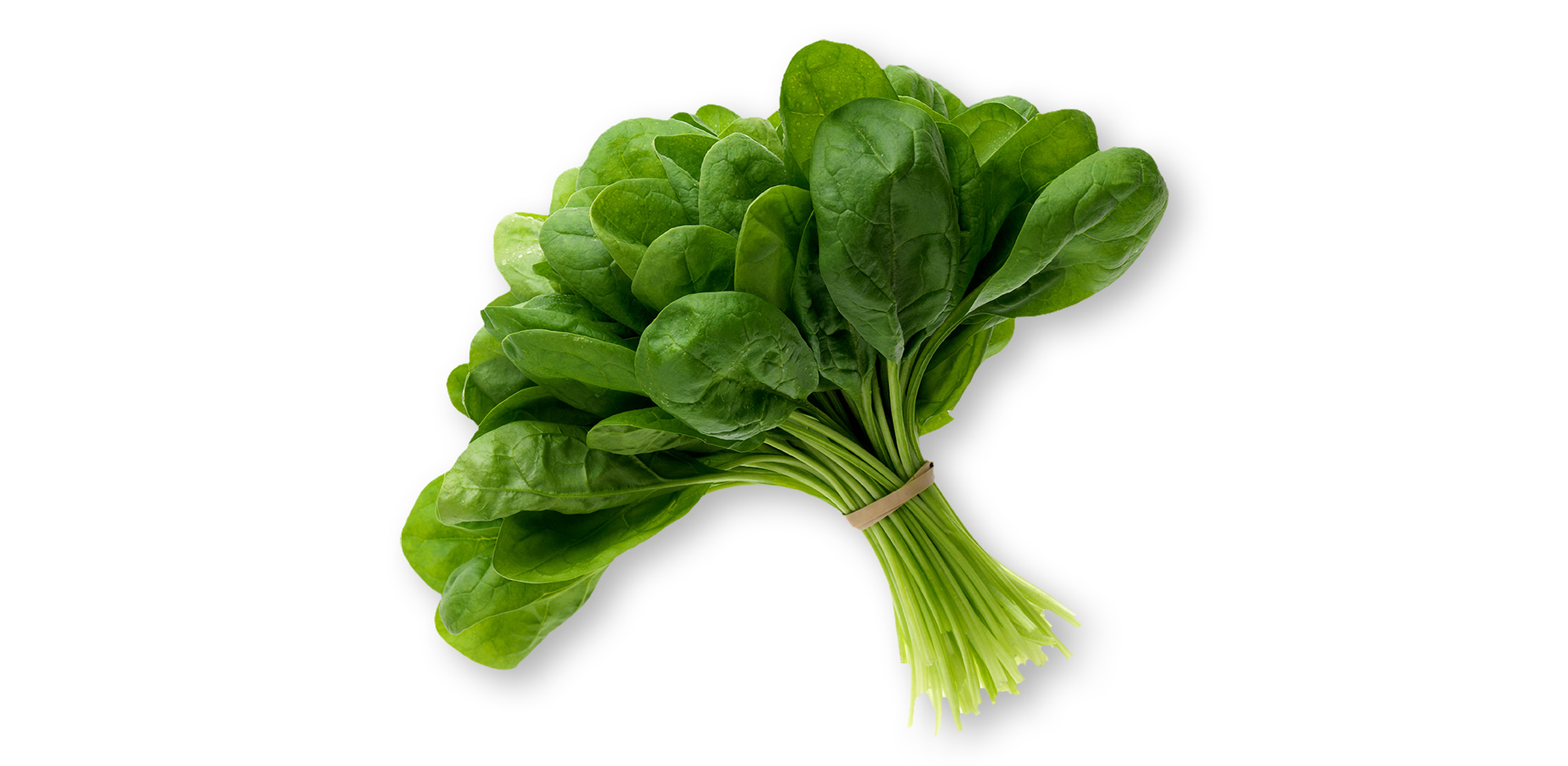 Spinach FAQ